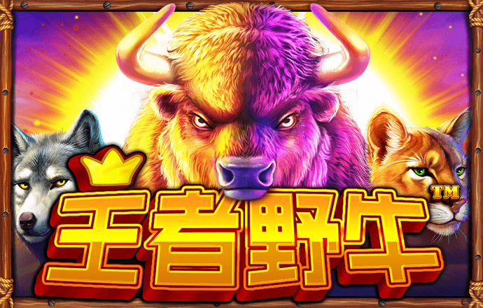 问鼎娱乐app官网版